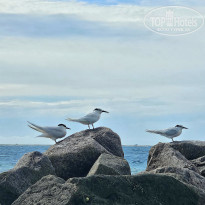 фото из отзыва ID 2680989