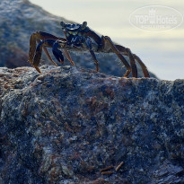 фото из отзыва ID 2680989