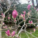 фото из отзыва ID 2682310