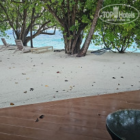 фото из отзыва ID 2680989