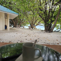 фото из отзыва ID 2680989