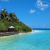 фото из отзыва ID 2680989