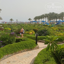 фото из отзыва ID 2682326