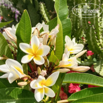 фото из отзыва ID 2682326