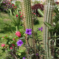 фото из отзыва ID 2682326