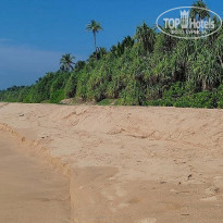 фото из отзыва ID 2682184