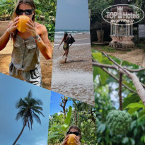 фото из отзыва ID 2682184