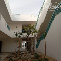 фото из отзыва ID 2682352