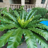 фото из отзыва ID 2682357