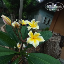 фото из отзыва ID 2682357