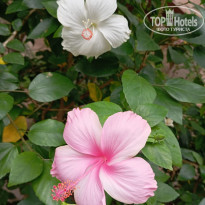 фото из отзыва ID 2682357
