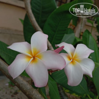 фото из отзыва ID 2682357