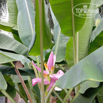 фото из отзыва ID 2682357
