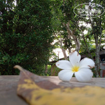 фото из отзыва ID 2682361