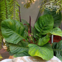 фото из отзыва ID 2682361