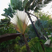 фото из отзыва ID 2682361