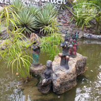 фото из отзыва ID 2682361