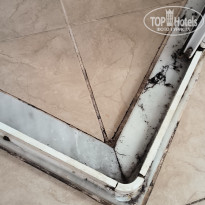 фото из отзыва ID 2682349