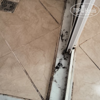 фото из отзыва ID 2682349