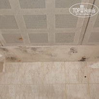 фото из отзыва ID 2682349