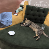 фото из отзыва ID 2682349