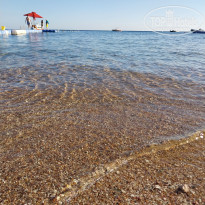 фото из отзыва ID 2680002