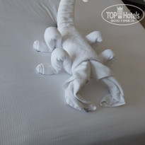 фото из отзыва ID 2680002