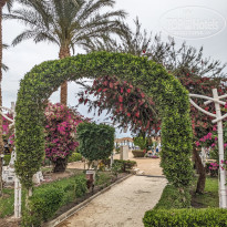 фото из отзыва ID 2682380