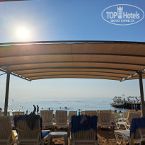 фото из отзыва ID 2682382