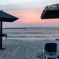 фото из отзыва ID 2682397