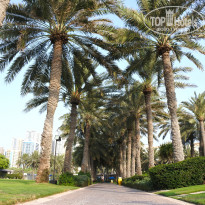 фото из отзыва ID 2682397