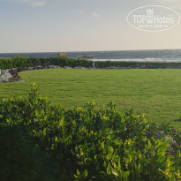 фото из отзыва ID 2682412