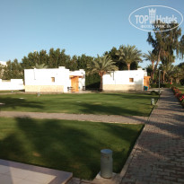 фото из отзыва ID 2682416