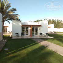 фото из отзыва ID 2682416