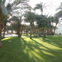 фото из отзыва ID 2682416