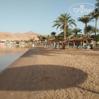 фото из отзыва ID 2682416