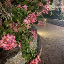 фото из отзыва ID 2682417