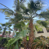 фото из отзыва ID 2682417