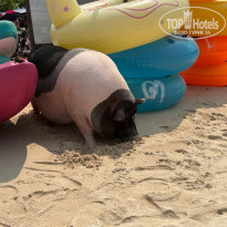 фото из отзыва ID 2682462