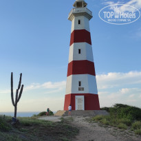 фото из отзыва ID 2682485