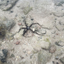 фото из отзыва ID 2682499