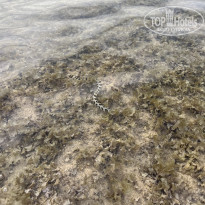 фото из отзыва ID 2682499