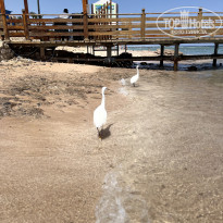 фото из отзыва ID 2682499