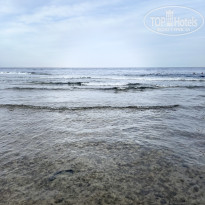 фото из отзыва ID 2682499