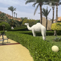 фото из отзыва ID 2682499