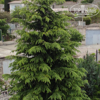 фото из отзыва ID 2682505