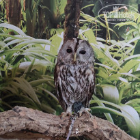 фото из отзыва ID 2682505