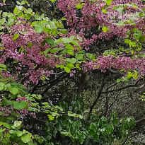 фото из отзыва ID 2682505