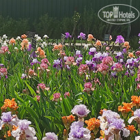 фото из отзыва ID 2682505