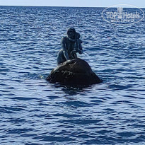 фото из отзыва ID 2682505